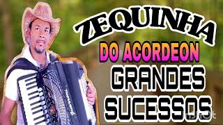 ZEQUINHA DO ACORDEON - GRANDES SUCESSOS