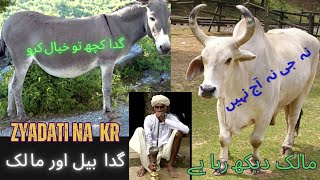 bel ki tang funny video | Urdu funny  | جو ٹانگ اٹھوانی جانتے وہ لگوانی بی جانتے |