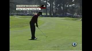 Tiger Woods 2005 7 iron