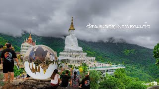 ภูทับเบิก-วัดพระธาตุผาซ่อนแก้ว หมอกลงจัด  Munoi ไปเที่ยวกัน #ภูทับเบิก #พระธาตุผาซ่อนแก้ว #ออกทริป