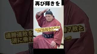 大相撲 令和の怪物伯桜鵬夏場所の復活に期待