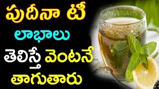 Health Benefits of Pudina (Mint) Tea | పుదీనా టీ లాభాలు తెలిస్తే వెంట‌నే తాగుతారు | Human Well Being