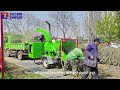 Whole tree chipper machine that high efficiency and high output from China