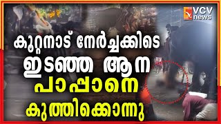 കൂറ്റനാട് നേർച്ചക്കിടെ ഇടഞ്ഞ ആന പാപ്പാനെ കുത്തിക്കൊന്നു