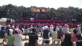 京炎 そでふれ！彩京前線　こいや祭り　メイン　2015.9.13