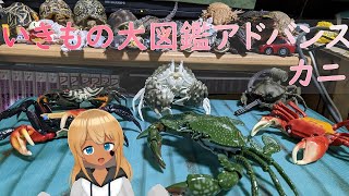 【Vtuber】BANDAIガシャポンいきもの大図鑑アドバンス　カニ全4種を紹介してみた件【ガシャポン】