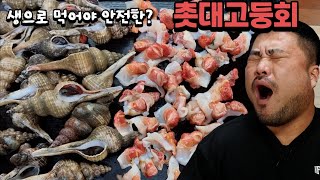 촛대고둥회 생으로먹으면 안전하고 익혀먹으면 독이된다??Eatingshow Mukbang