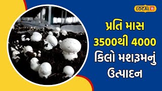 Mushroom Farming  | મશરૂમની ખેતી નીવડી નફાકારક, મહિલા ખેડૂત મેળવે છે પ્રતિ માસ 3થી 4 લાખ | #local18