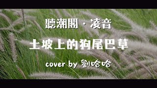 『聽潮閣．凌音』盧潤澤 - 土坡上的狗尾巴草（cover by.  𝑇.劉哈哈ᴴᴴ ）