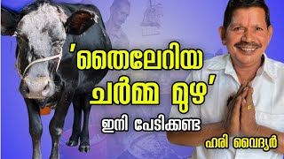 തൈലേറിയയും ചർമ്മ മുഴയും കുറഞ്ഞ ചിലവിൽ മാറ്റാം | ഹരി വൈദ്യർ ❤️@edapparambilfarms