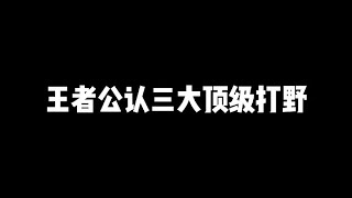 王者公认三大顶级打野，意识操作皆到巅峰