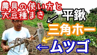 レーキで畝整備、平鍬で鎮圧、農具の使い方と大豆の種蒔き【無肥料栽培】2020年7月24日