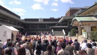 京炎 そでふれ！京小町（京都さくらよさこい2017 2日目）岡崎第二会場