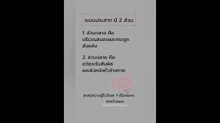 ep2:ระบบประสาททำงานยังไงนะ ? #คนรักสมอง