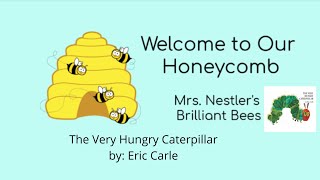 Brilliant Bees Read Aloud- The Very Hungry Caterpillar