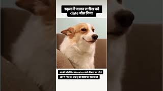 रोला है तुम्हारे भाई का 🤟#memes #dog