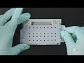 Single Cell Gene Expression Protocol v3.1 | Assemble Chromium Next GEM Chip G