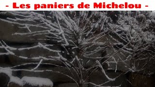 🇫🇷 Épisode 1.Comment et quand planter l'osier ? Explications faciles et claires.