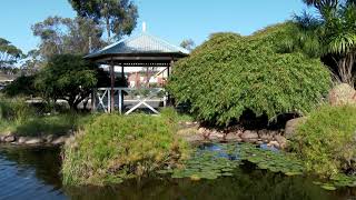 Moora western Australia