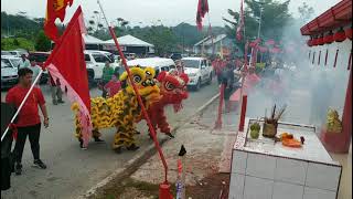 砂南玻游神 南山洞齐天大圣 2023 (早上)兔子🐰拜年 Chinese new year celebration Paku,  Bau #liondance #chapgohmei