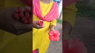 எல்லாம் நாம் நினைத்தால் இனிமையே💫#shortvideo 🌺