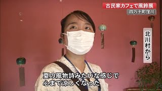 【高知】四万十町の古民家カフェに涼やかな音色、風鈴など100点以上ずらり (22/08/02 17:00)