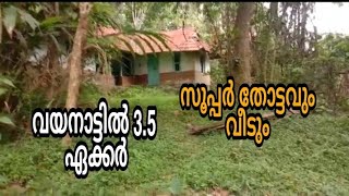 3.5 Acre Agriculture | Farm | Coffee Land For Sale | Kenichira | Wayanad (സെന്റിന് 33000)