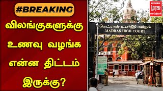 #BREAKINGNEWS | விலங்குகளுக்கு உணவு வழங்க என்ன திட்டம் இருக்கு ? | Malai Murasu Seithigal