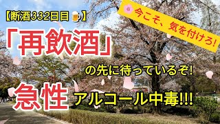 【⚠気を付けろ！】再飲酒＆急性アルコール中毒!【断酒332日目🍺】