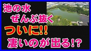 【衝撃】池の水ぜんぶ抜く、最新話が決定！！次の舞台で予想しなかったアレが出てくる！？