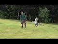 secretary bird killing a snake