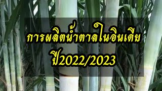 การผลิตน้ำตาลในอินเดีย ปี2022/2023 คาดว่าอินเดียจะส่งออกน้ำตาล8ล้านตัน