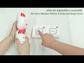 How to Register the Panic Button Alarm