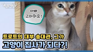 트로트의 대부 송대관, 그가 고양이 집사가 되다?! MBN 211202 방송