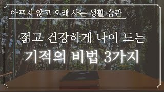 간단하게 실천할 수 있는 생활 습관 3가지로 기적을 경험해 보세요ㅣ호흡법, 식습관, 걷기ㅣ책 추천