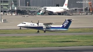 ANA WINGS (AKX/ANA) Bombardier DHC-8-Q300 JA804K 羽田空港 離陸 2013.10.12