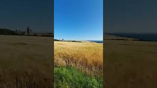 Castle #ireland #shortvideo #beautiful #shortsfeed #atlantic #shorts