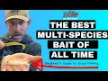 The BEST Multi-species LURE of ALL TIME (Beginner's Guide to Good Fishing)