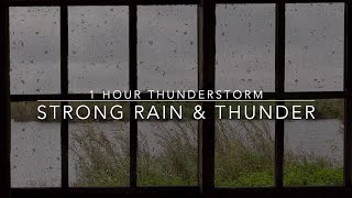 Strong Rain & Thunder Sounds for Sleeping - Windy Rain on a Window - 1 hour Thunderstorm - Rain ASMR