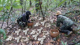 ครบทีมวันนี้หลังฝนตกเห็ด🍄🍄ปลวกยังออกเรื่อยๆเยอะมากๆ⁉️