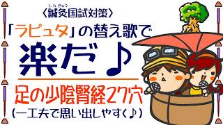 ツボ暗記替え歌「ラピュタで少陰腎経暗記」