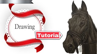 realistic horse drawing | how to draw horse step by step | realistic drawing