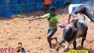 அடடே அருமையான காளை #shorts #shortsfeed #jallikattu #video #share #subscribe #short