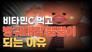 비타민C 먹으면 방구 많이 나오면 이것 부족