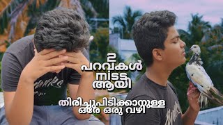 പറവ പറന്നുപോയാൽ എങ്ങനെ തിരിച്ചുകൊണ്ടുവരാം. parava training part 3