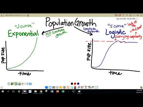 What is a J-shaped curve?