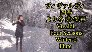 Vivaldi Four Seasons: Winter-2nd/Flute Cover, ヴィヴァルディ 四季 「冬」第2楽章