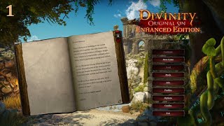 What is DIVINITY!? | Let's check out the lore of Larian's original game series! | GAMEPLAY