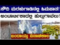 ಸೌದಿ ಮರಳುಗಾಡಿನಲ್ಲಿ ಹಿಮಪಾತ! | ಅಂಟಾರ್ಟಿಕಾದಲ್ಲಿ ಹುಲ್ಲುಗಾವಲು! | Saudi Arabia | Snow Fall | Lion TV