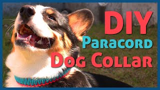 Paracord Dog Collar Tutorial—Easy!